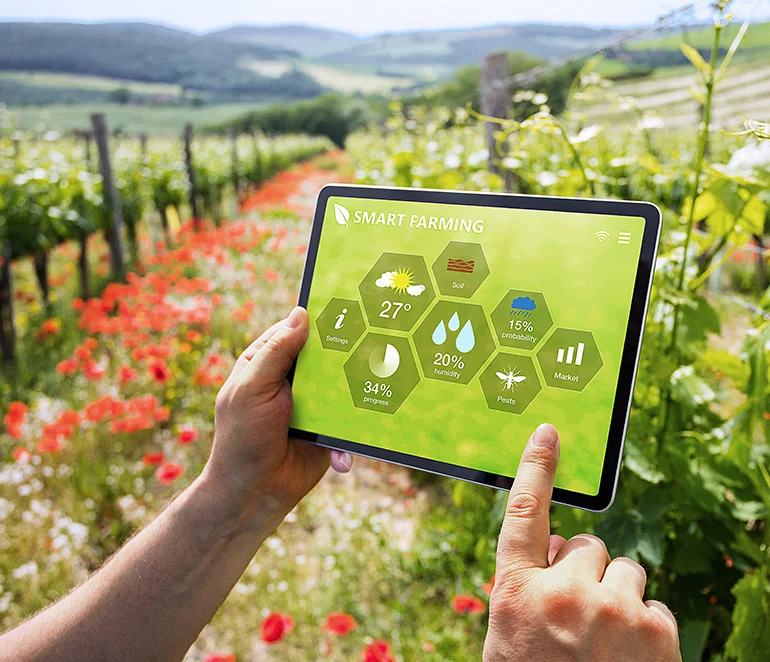 Innovación en el sector agrícola tras la pandemia