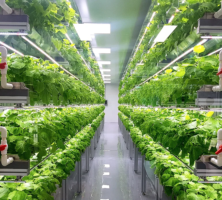 Innovaciones en sector agrícola